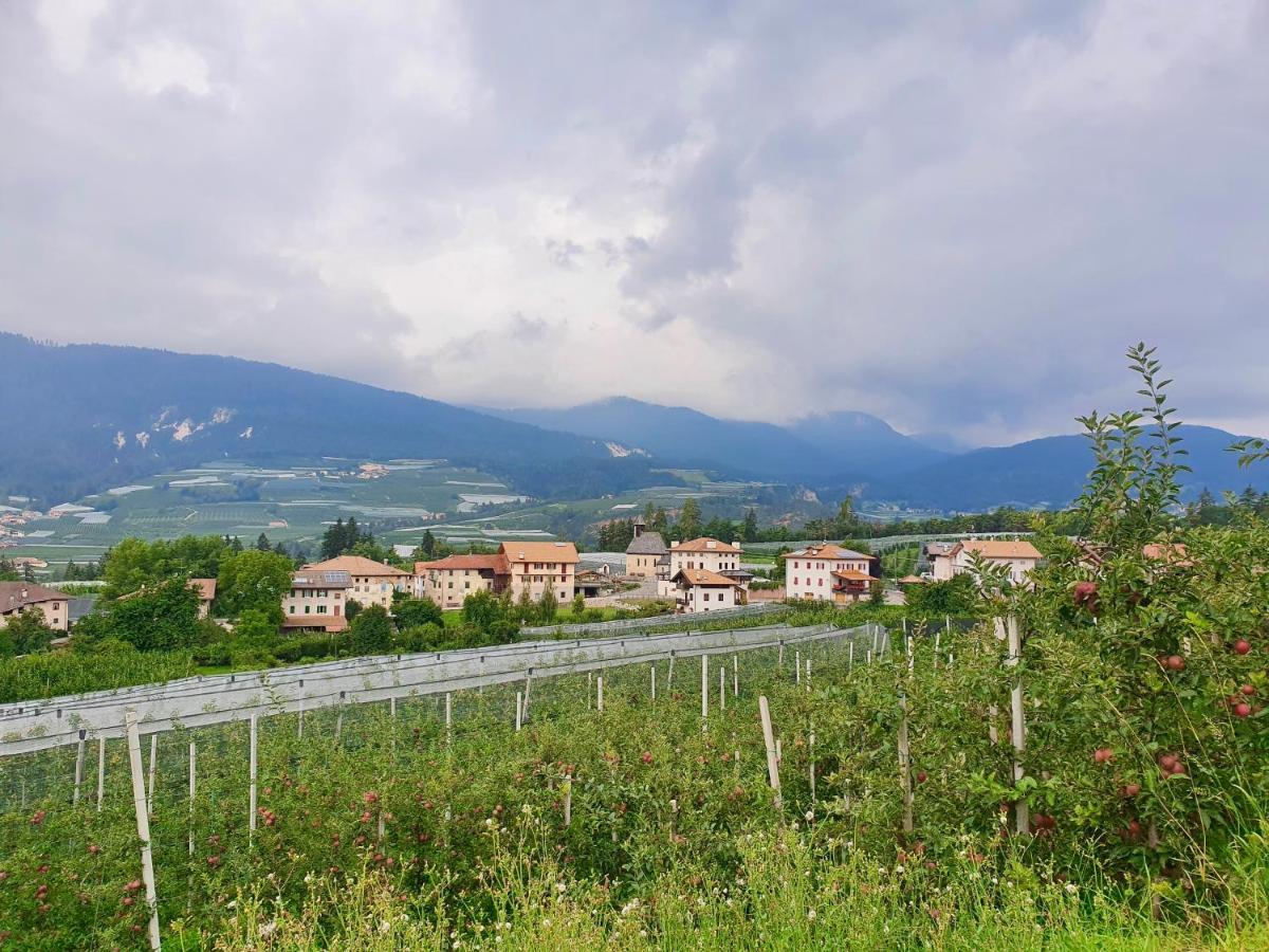 Agritur Fiore 폰도 외부 사진